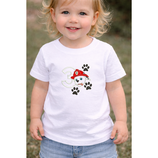 Camiseta infantil Paw Patrol personalizada